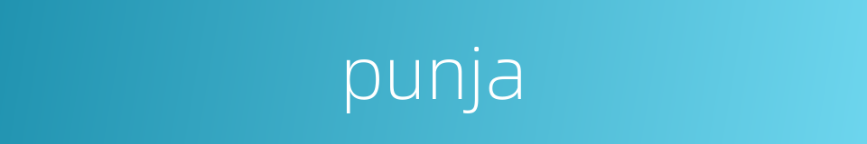 punja的同义词