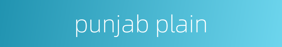 punjab plain的同义词