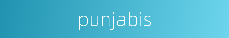 punjabis的同义词