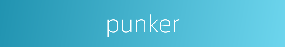 punker的同义词
