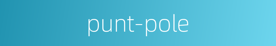 punt-pole的同义词
