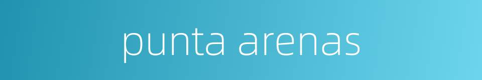 punta arenas的同义词