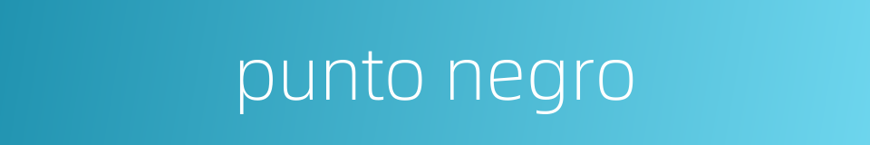 punto negro的同义词
