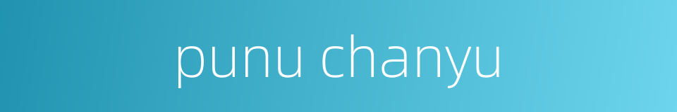 punu chanyu的同义词