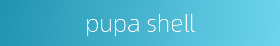 pupa shell的同义词