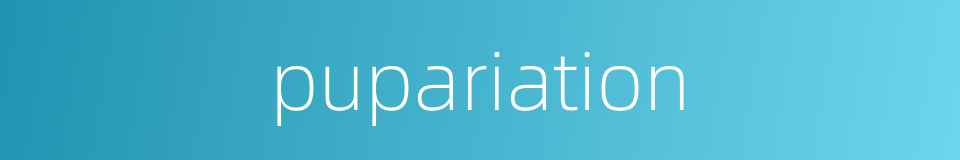 pupariation的同义词