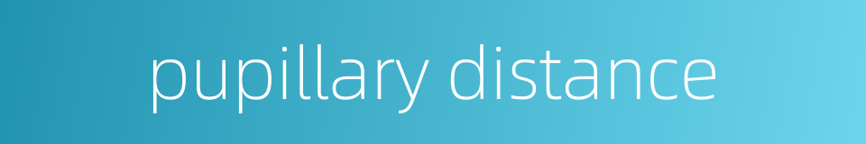 pupillary distance的同义词