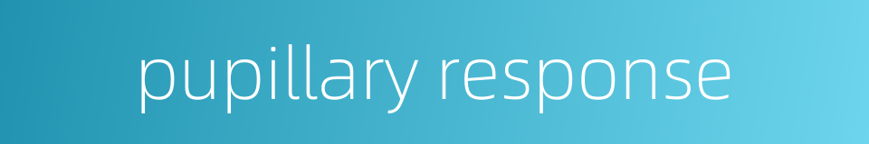 pupillary response的同义词