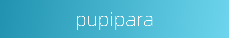 pupipara的同义词
