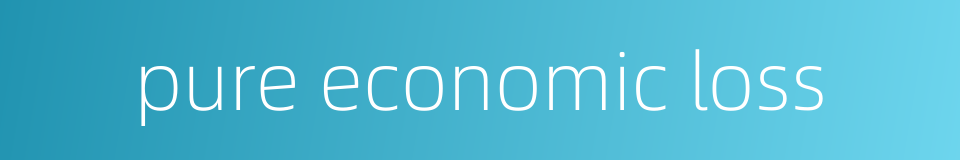 pure economic loss的同义词