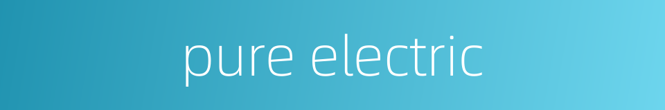 pure electric的同义词