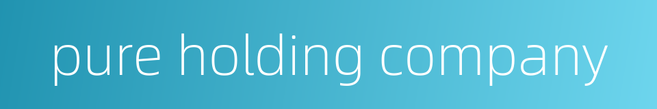pure holding company的同义词
