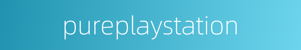 pureplaystation的同义词
