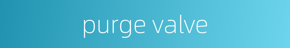 purge valve的同义词