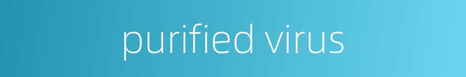 purified virus的同义词