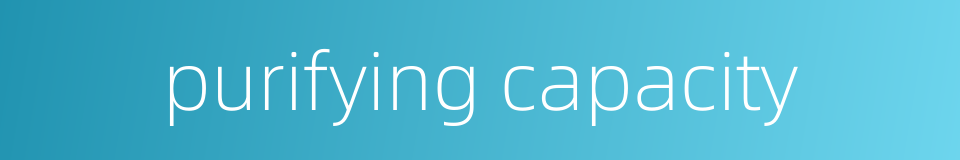 purifying capacity的同义词