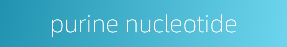 purine nucleotide的同义词
