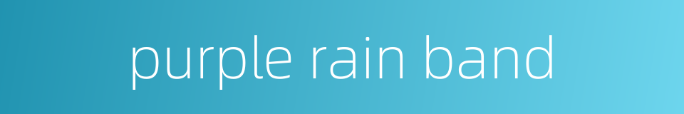 purple rain band的同义词