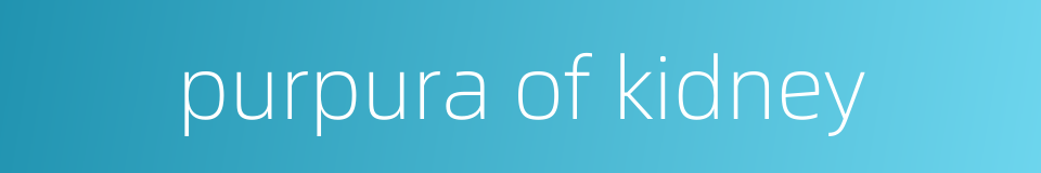 purpura of kidney的同义词