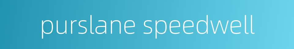 purslane speedwell的同义词