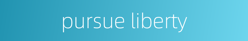 pursue liberty的同义词