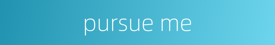 pursue me的同义词