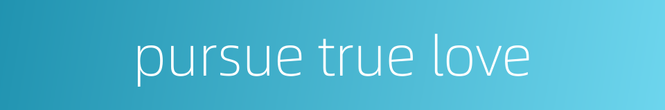 pursue true love的同义词