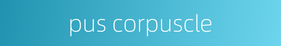 pus corpuscle的同义词