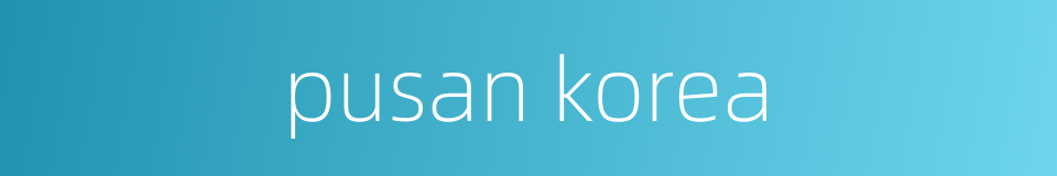 pusan korea的同义词