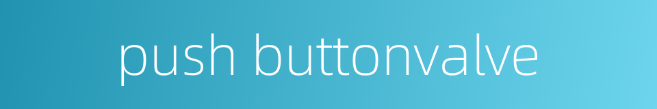 push buttonvalve的同义词