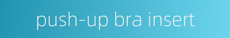 push-up bra insert的同义词