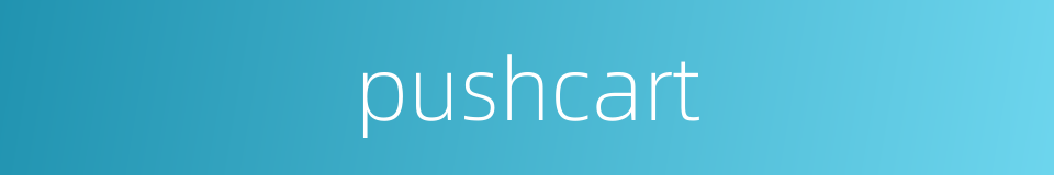 pushcart的同义词