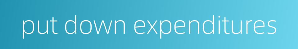 put down expenditures的同义词