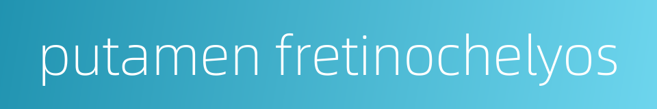 putamen fretinochelyos的同义词