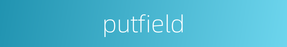 putfield的同义词