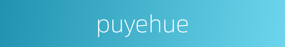 puyehue的同义词