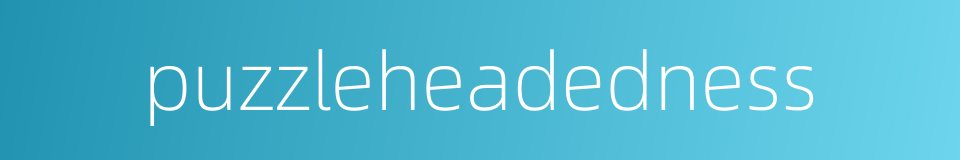 puzzleheadedness的同义词