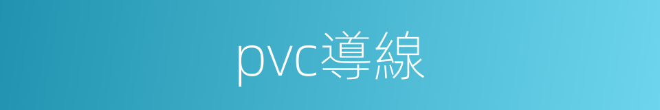 pvc導線的同義詞