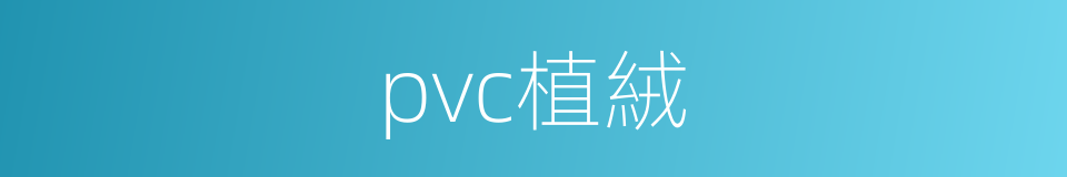 pvc植絨的同義詞