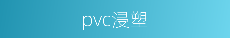 pvc浸塑的同义词