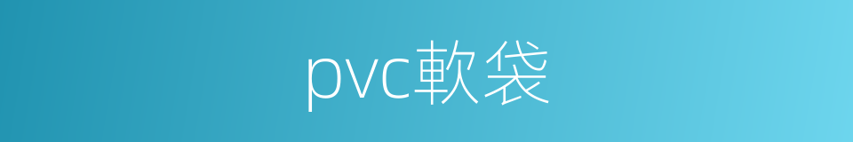 pvc軟袋的同義詞