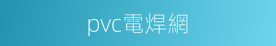 pvc電焊網的同義詞
