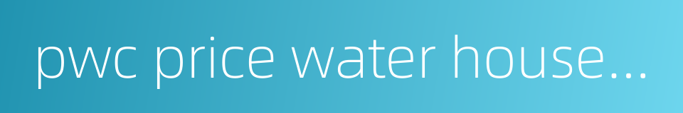 pwc price water house coopers的同义词