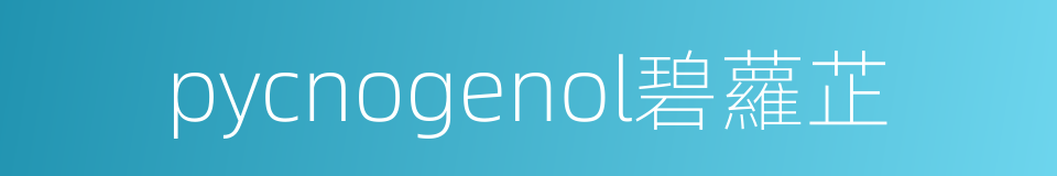 pycnogenol碧蘿芷的同義詞