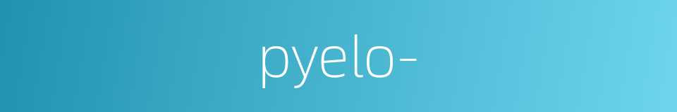 pyelo-的同义词