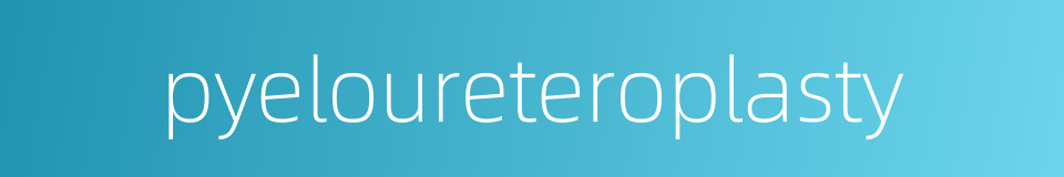 pyeloureteroplasty的同义词