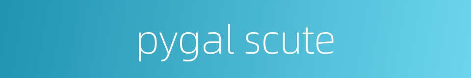 pygal scute的同义词