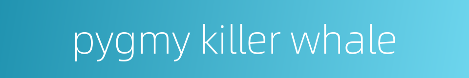 pygmy killer whale的同义词