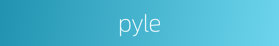 pyle的同义词