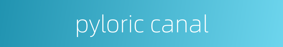 pyloric canal的同义词
